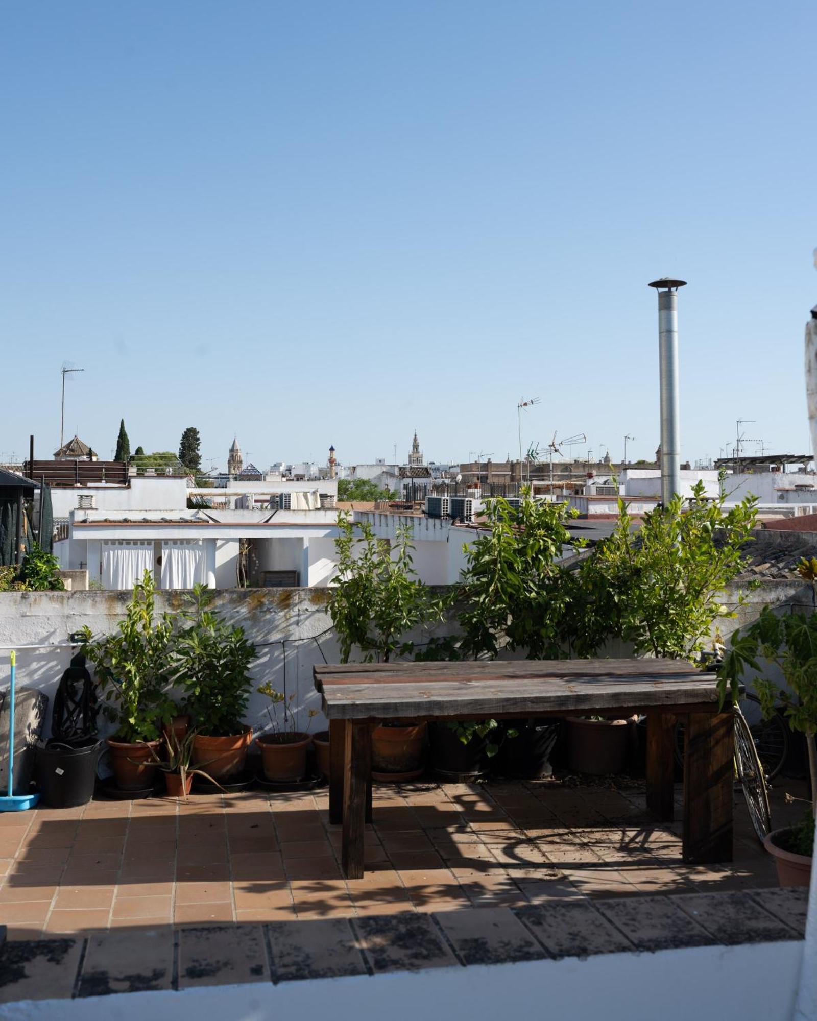 Moderno Y Tranquilo En El Centro Διαμέρισμα Σεβίλλη Εξωτερικό φωτογραφία